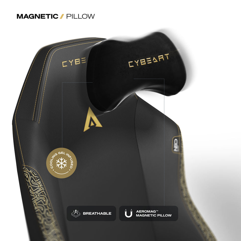 AEROMAG™ MAGNETIC PILLOW