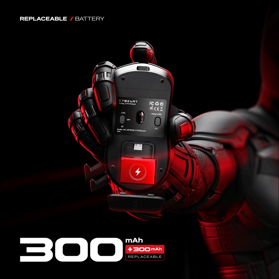 Battery Capacity: 300 MaH x2
