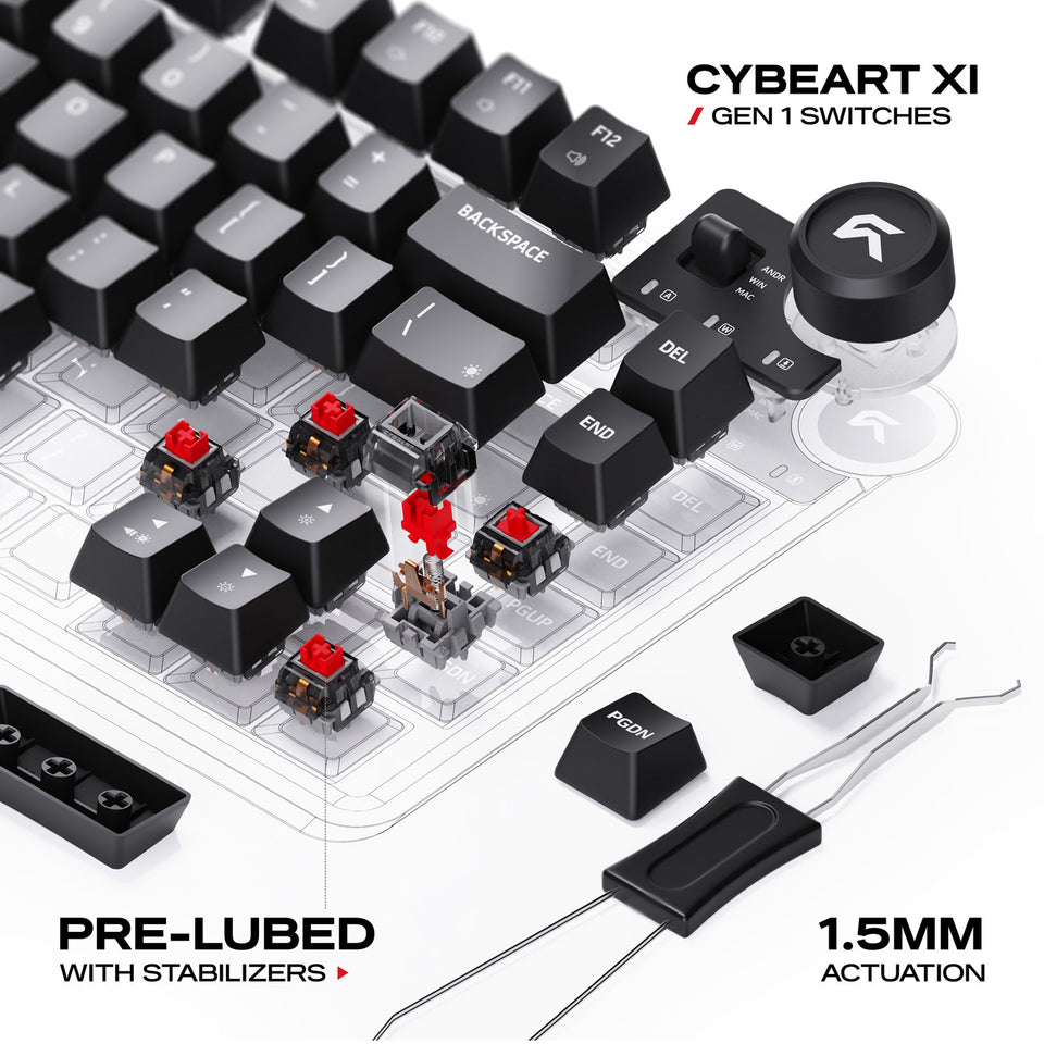 Switches