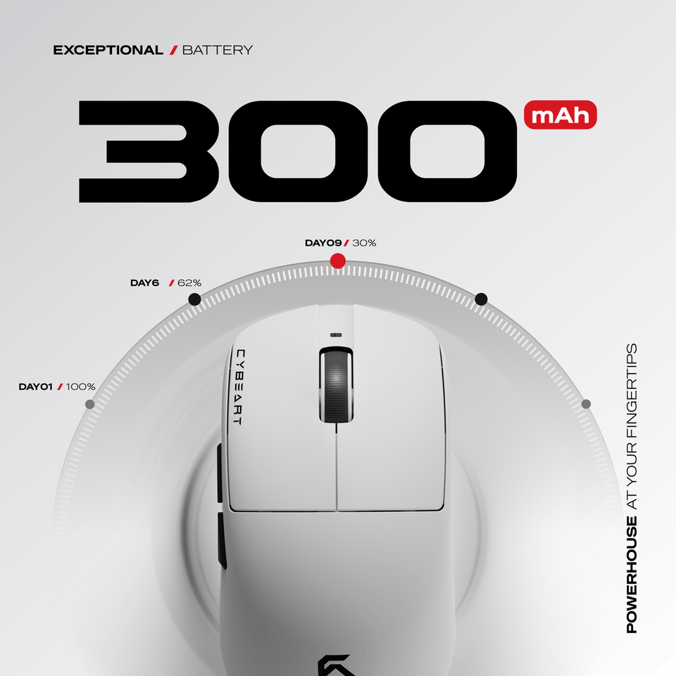 Battery Capacity: 300 MaH